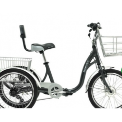 Chargeur pour Tricycle Monty E132